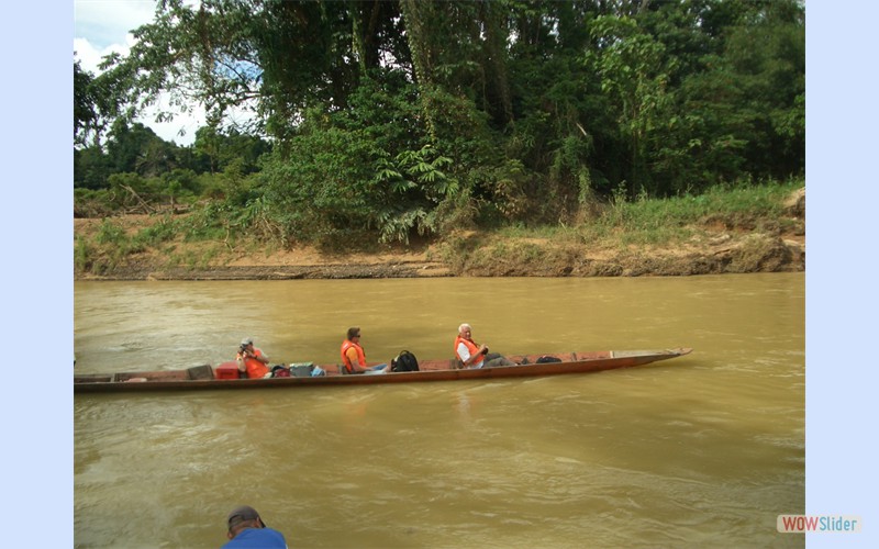 Borneo2010_2