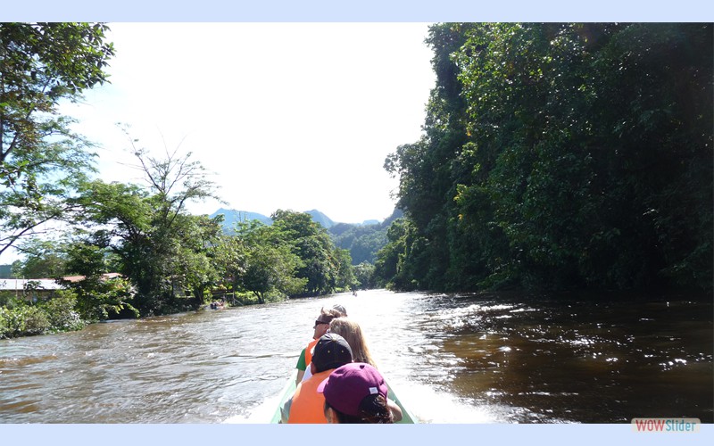 Borneo2010_3