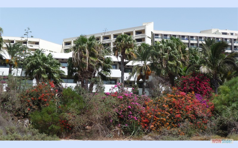 Fuerteventura_6