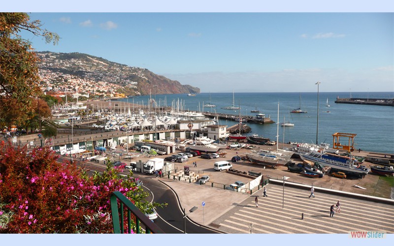 Madeira2011_2