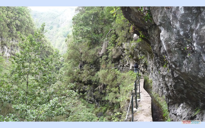 Madeira2011_6