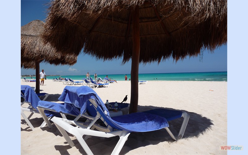 Mexico2009_21
