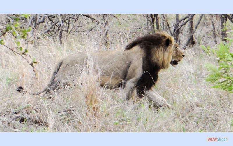 Sdafrika2014_3
