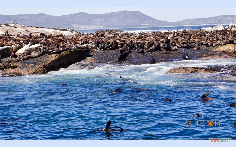 Sdafrika2014_8