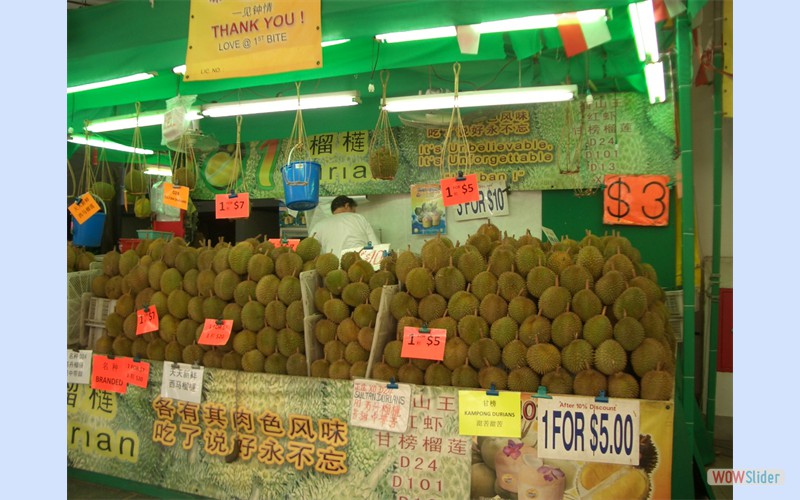 Singapore2010_5