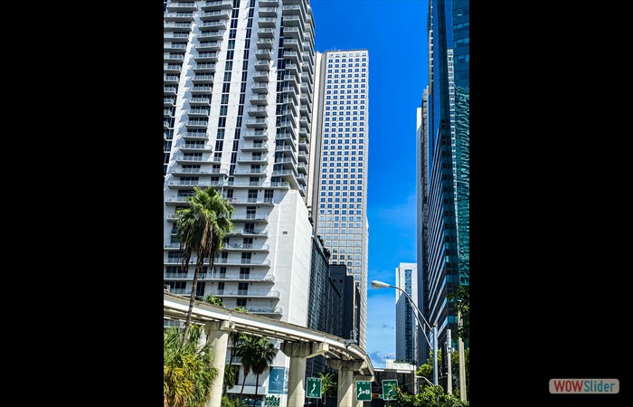 7_Miami 8
