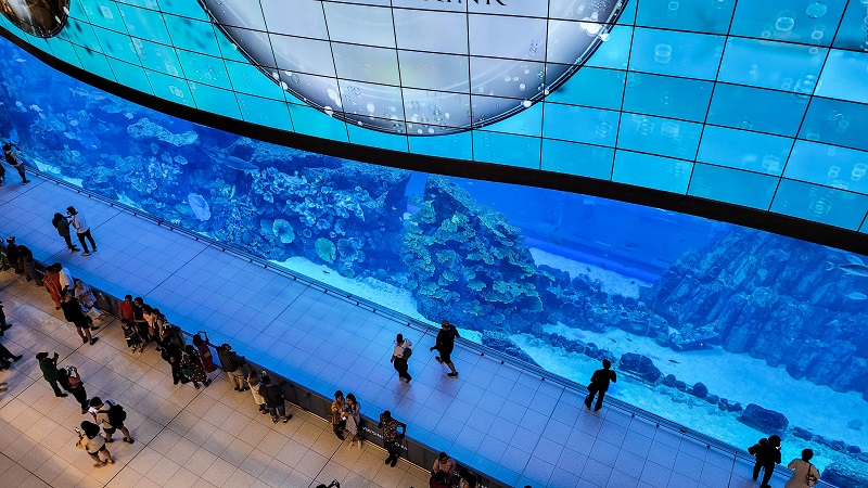 Dubai8