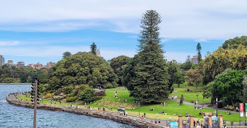 Sydney9